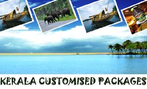 kerala customised tour packages