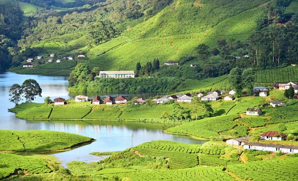 munnar tour package