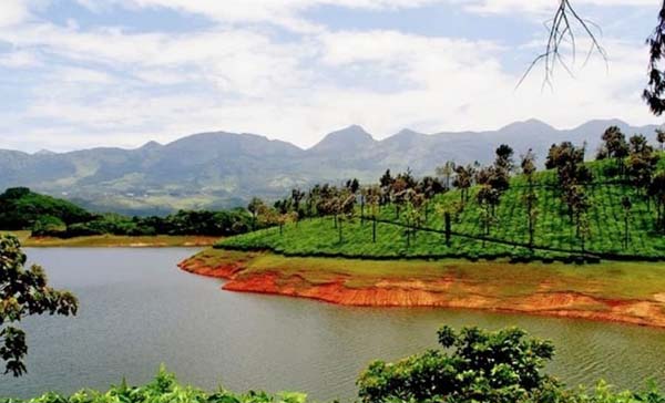 4 Days Munnar Trip