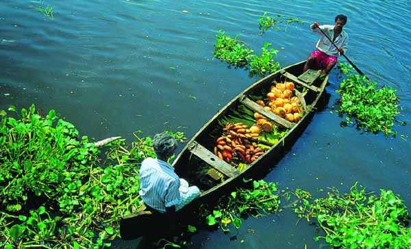 Kerala Family Tour Packages from Indian Cities