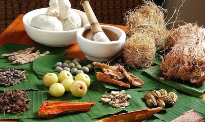 kerala ayurveda package 5