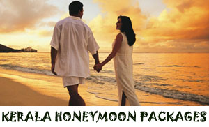 Kerala honeymoon packages