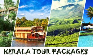 best of kerala tour package
