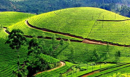 Munnar