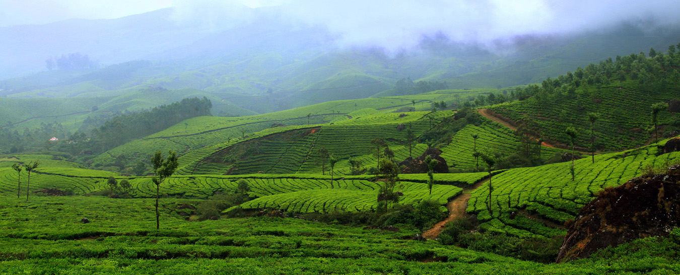 munnar tour package