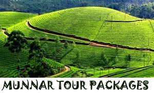 munnar tour packages