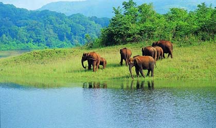 Thekkady