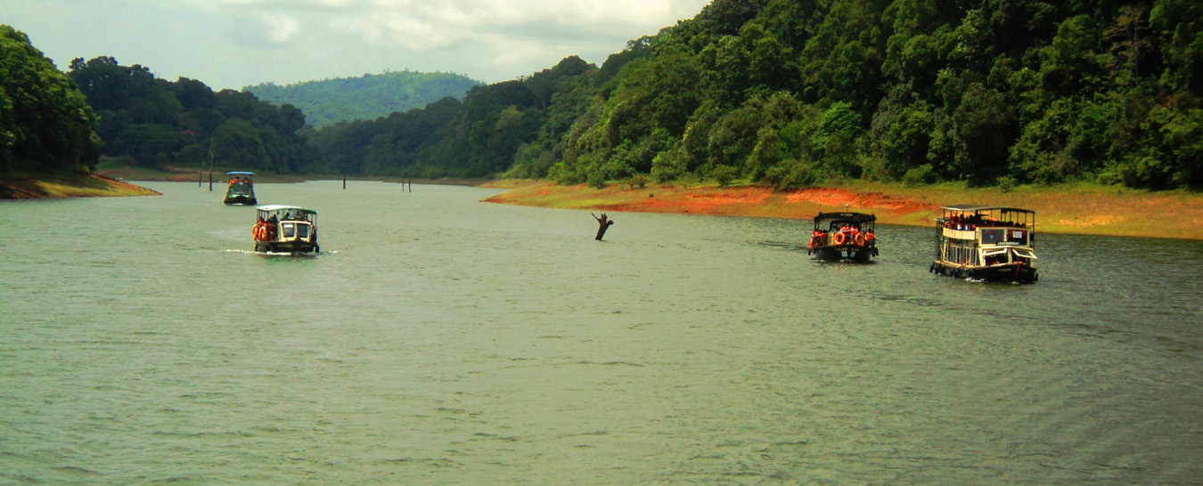 thekkady tour package