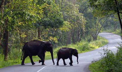 wayanad tour