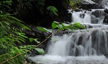 wayanad water falls